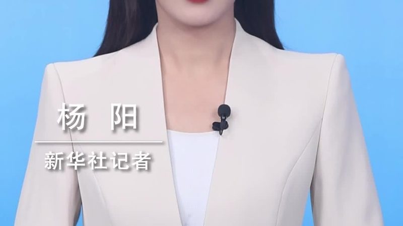 政务信息化建设标准规范指南：解码标准化之路